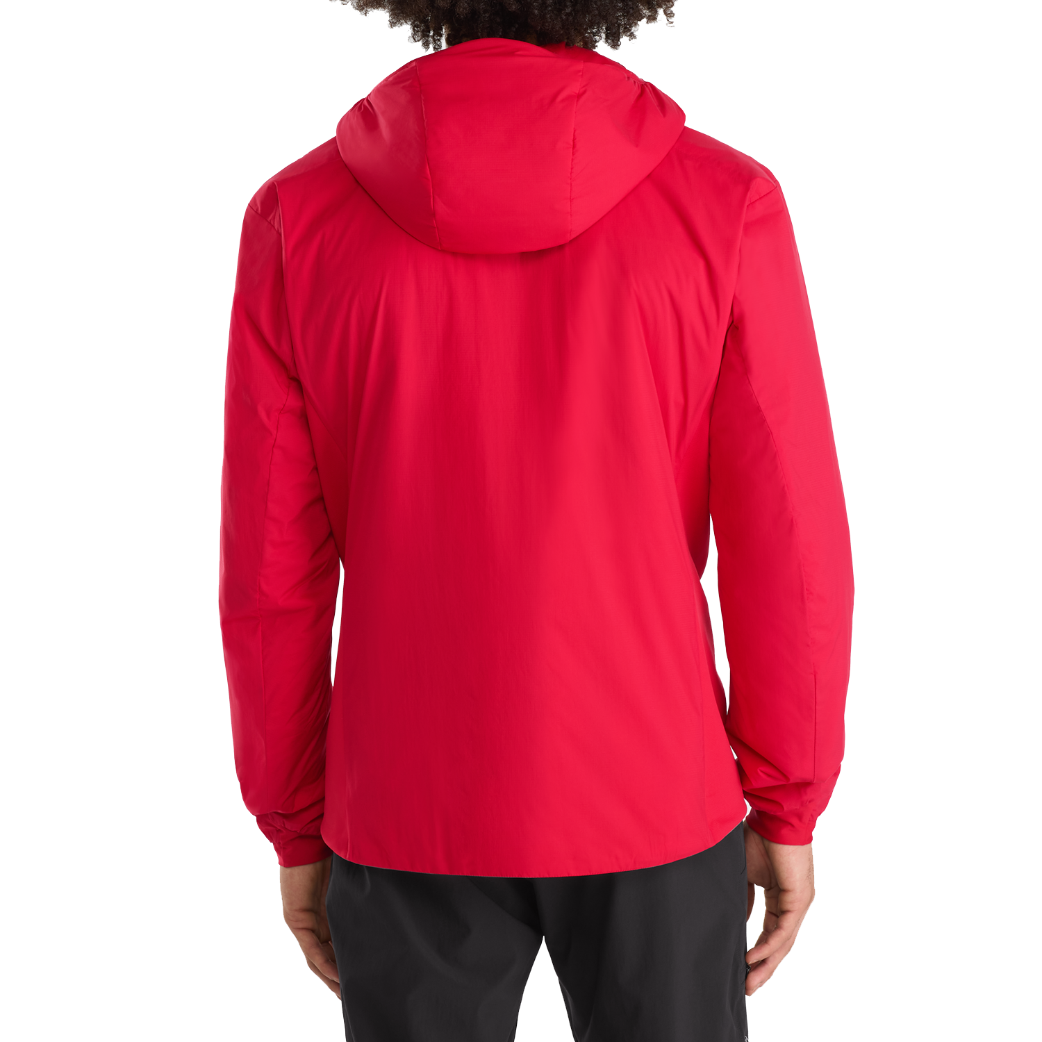 Arc'teryx Atom LT Hoodie | evo Canada