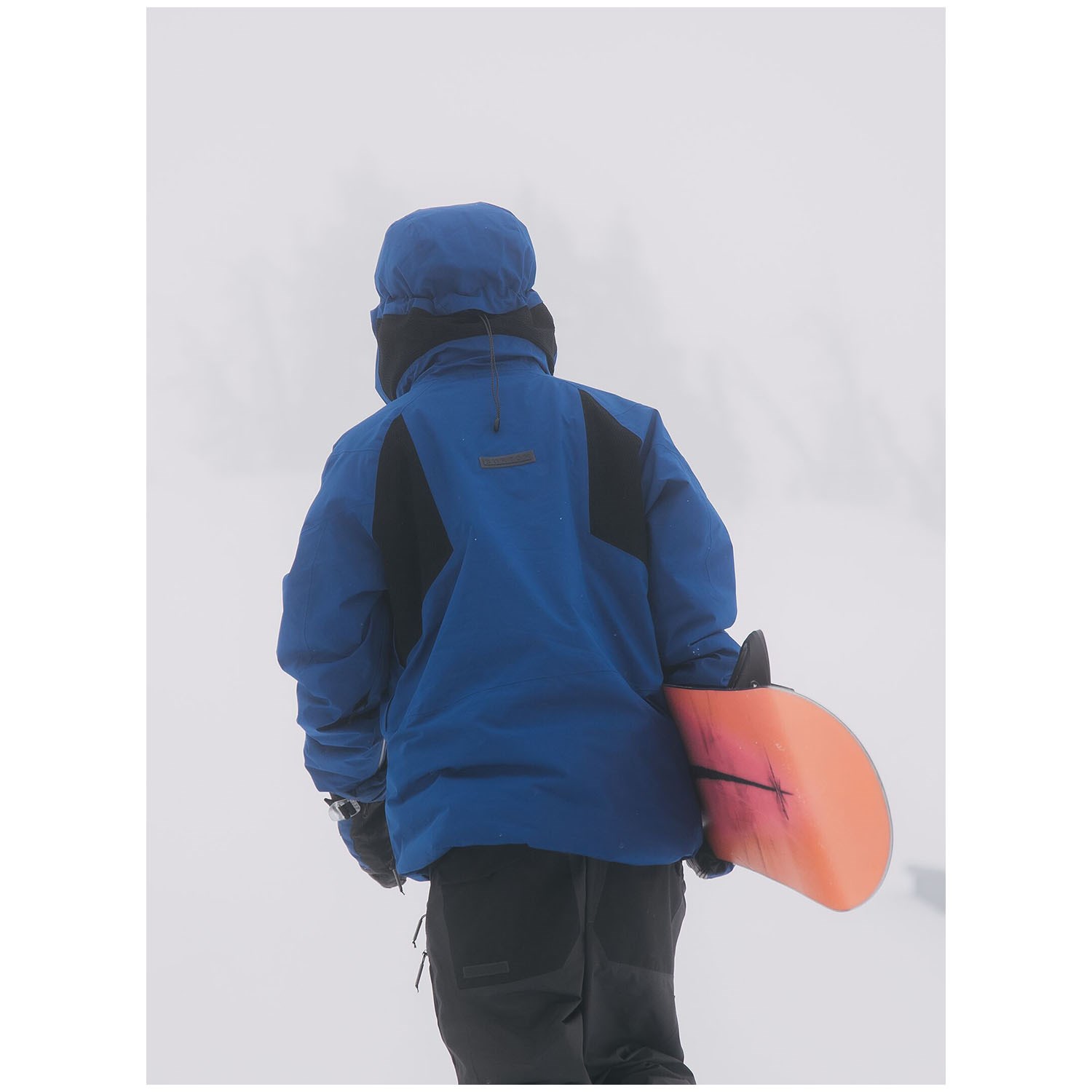 Burton GORE-TEX 2L Carbonate Insulated Jacket | evo