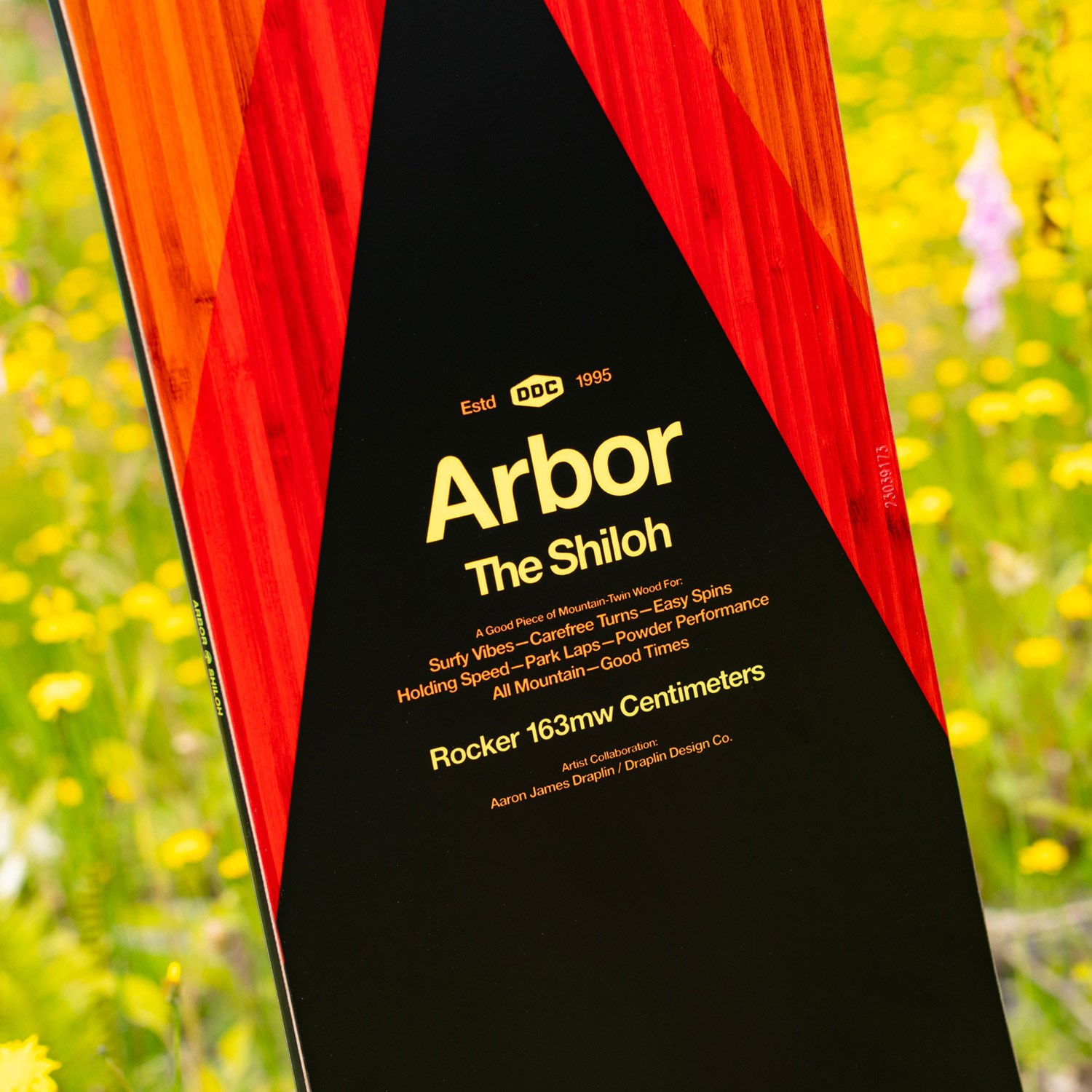Arbor Shiloh Camber Snowboard 2024 | evo