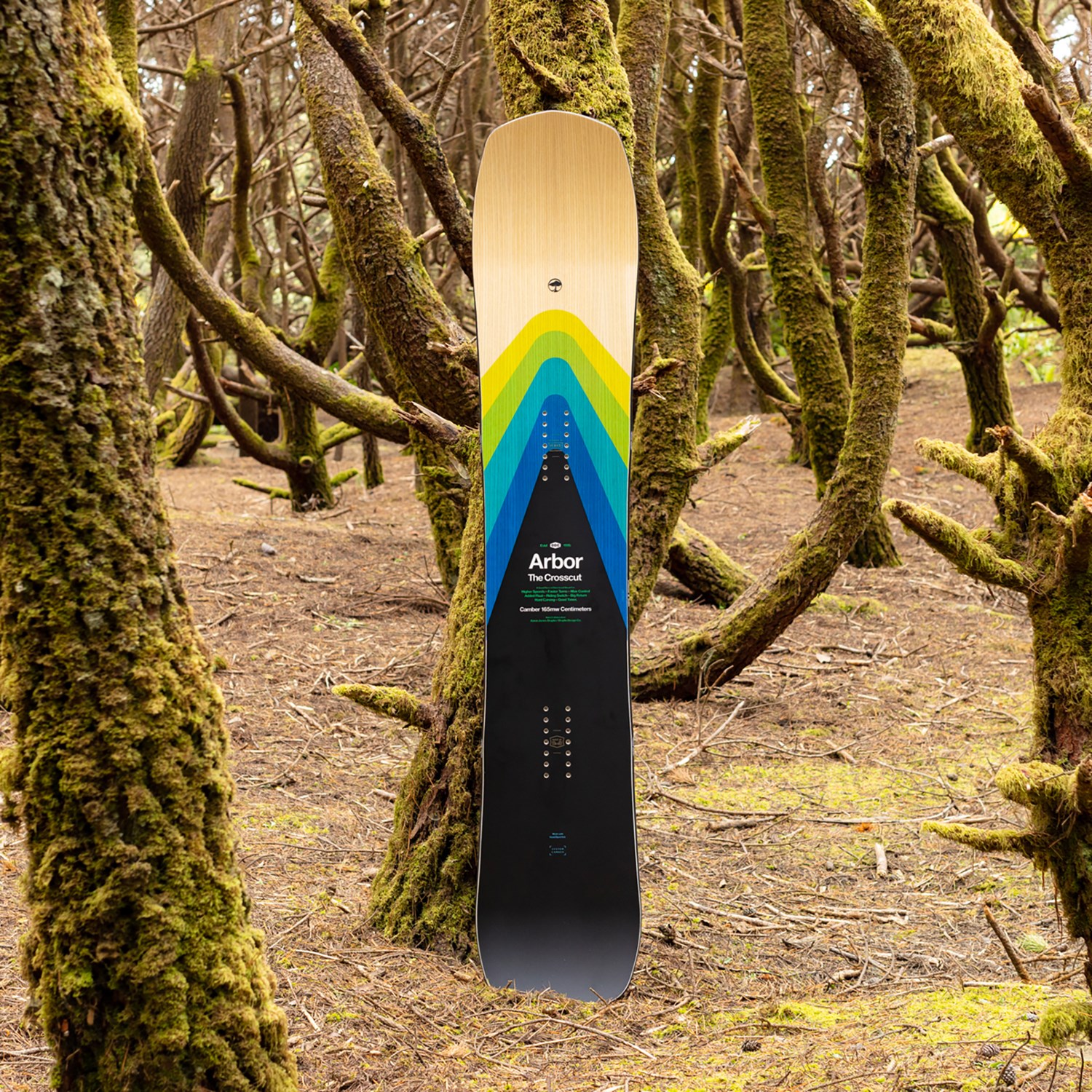 Arbor Crosscut Camber Snowboard 2024