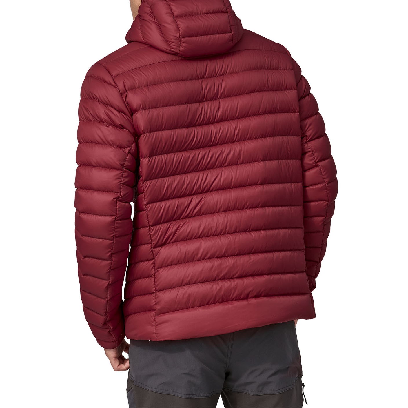 Patagonia down sweater online hoody red