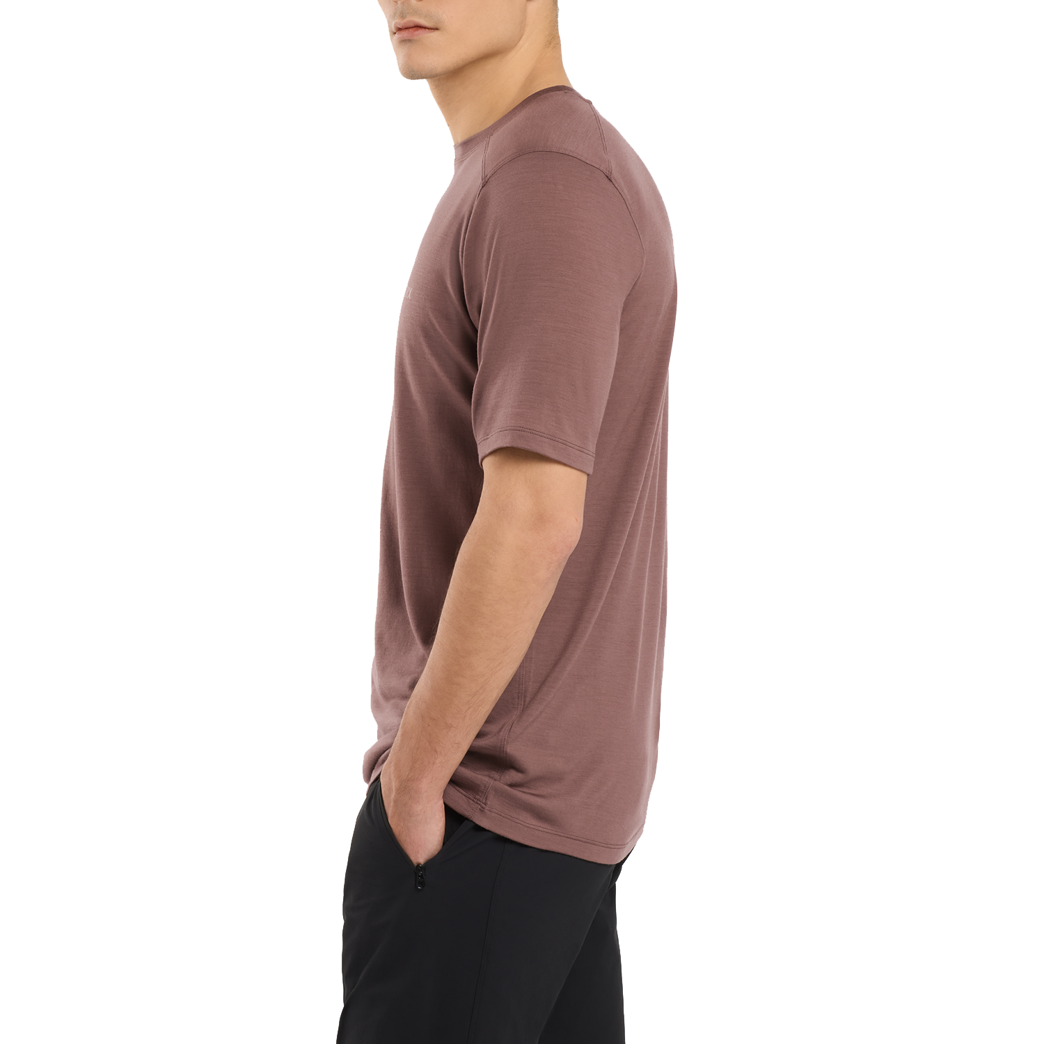 Arc'teryx Ionia Arc'Word Short-Sleeve Tee - Men's | evo