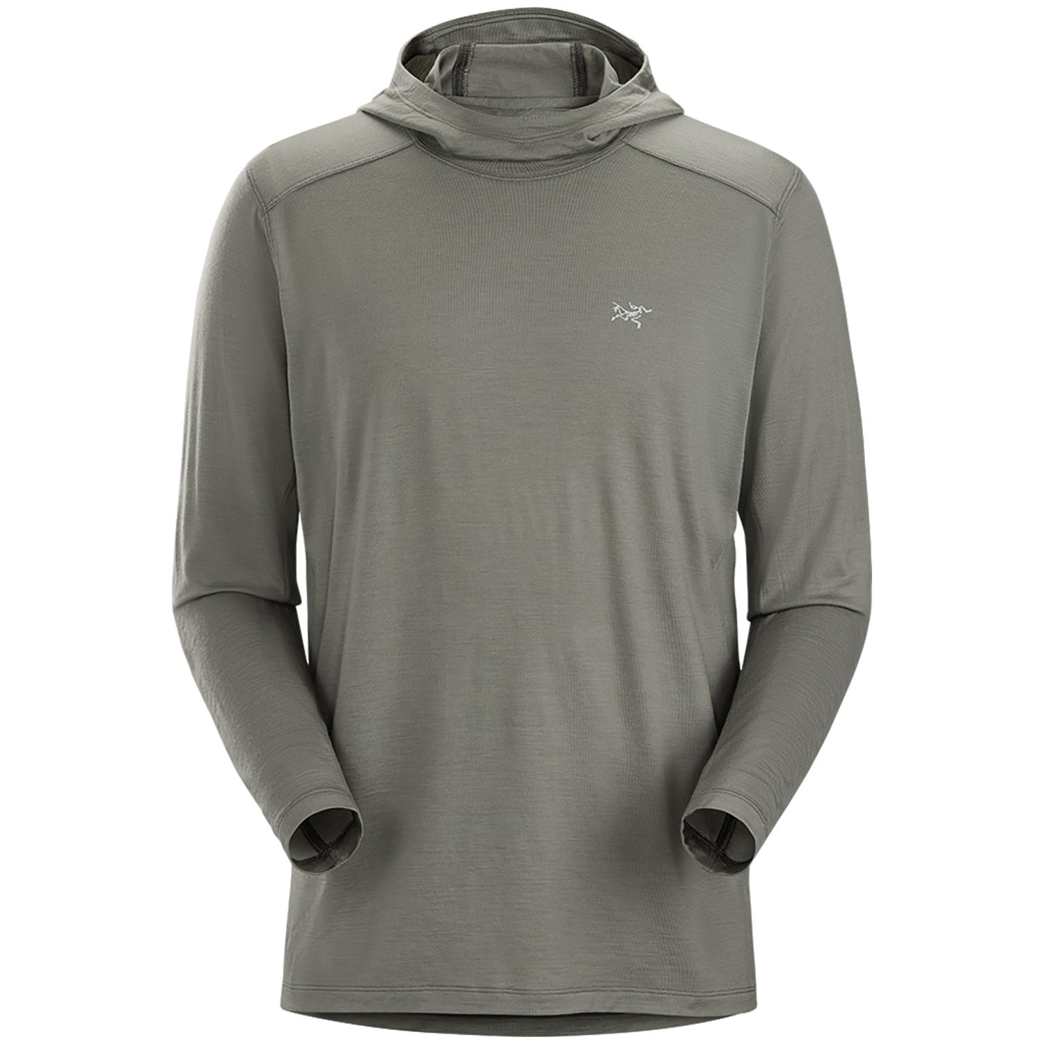 Arc'teryx Ionia Hoodie - Men's | evo