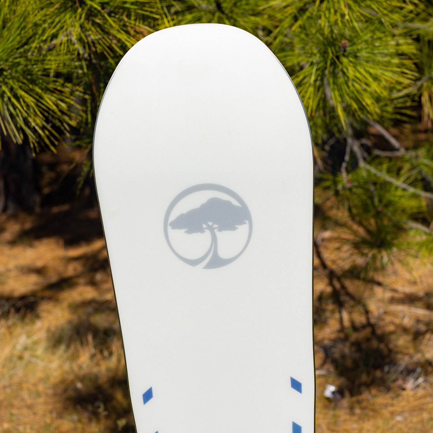 Arbor Mantra Camber Snowboard - Women's 2024 | evo