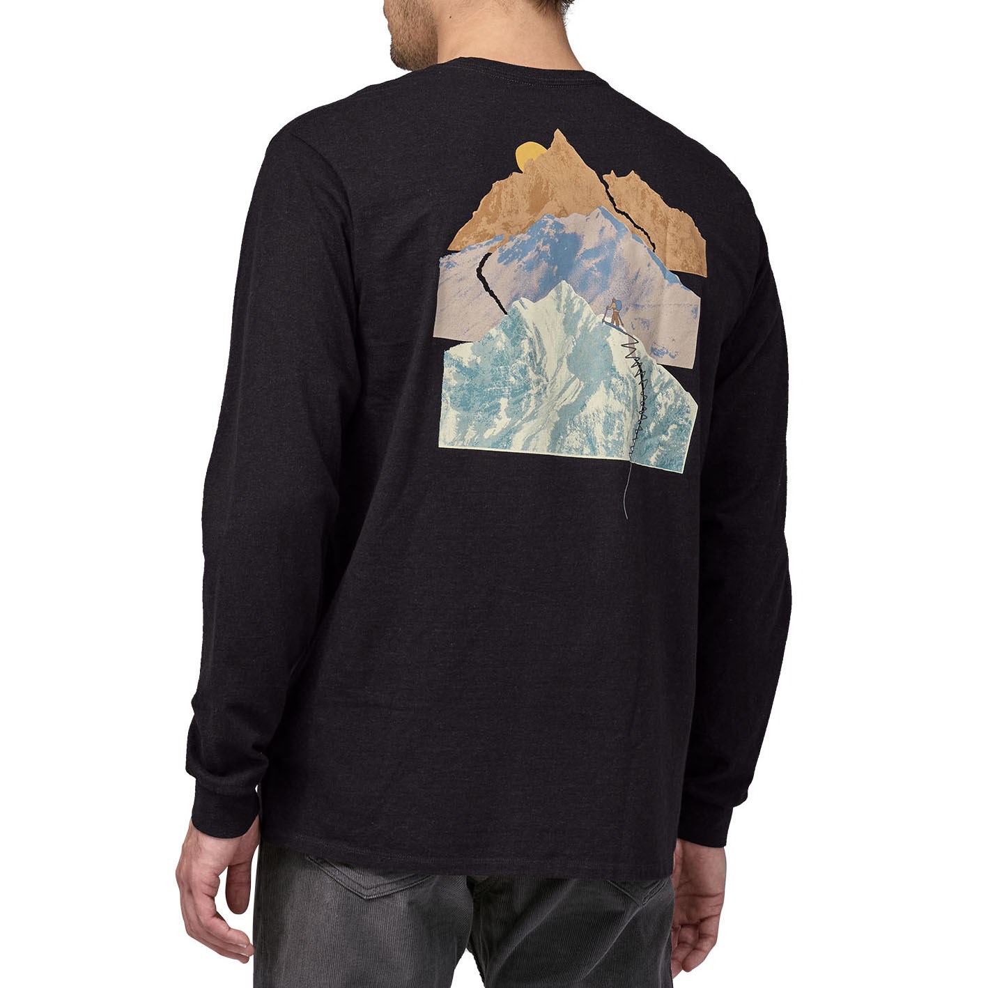 Patagonia long hot sale sleeve t