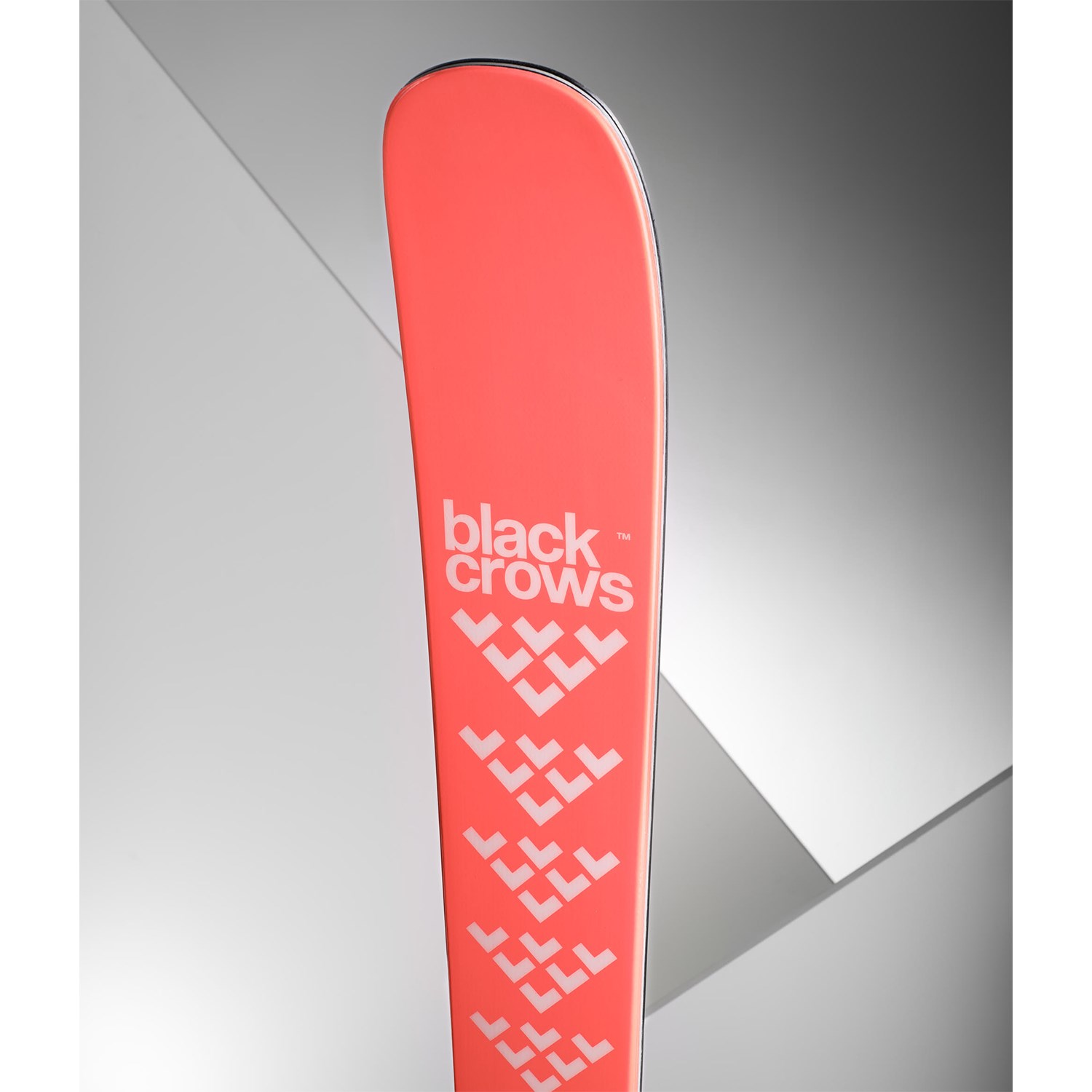 Black Crows Camox Birdie Skis - Women's 2024 | evo