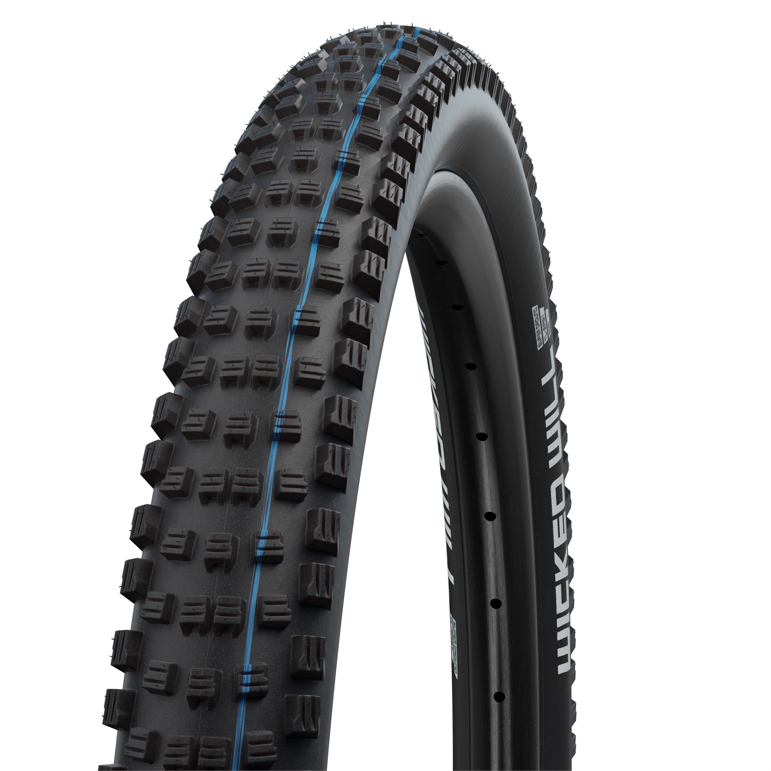 schwalbe-wicked-will-tire-29-.jpg
