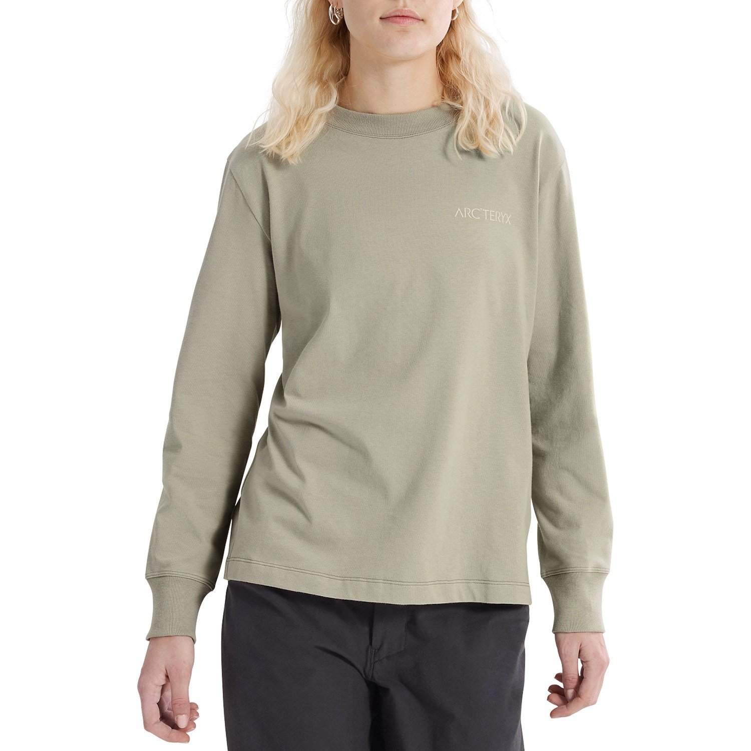 Arc'teryx Kragg Cotton Bird Crew Long-Sleeve T-Shirt - Women's | evo