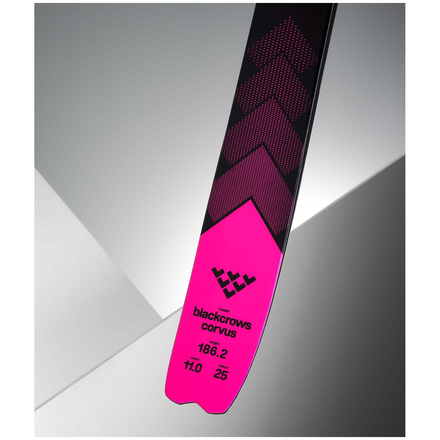 Black Crows Corvus Skis 2025 | evo