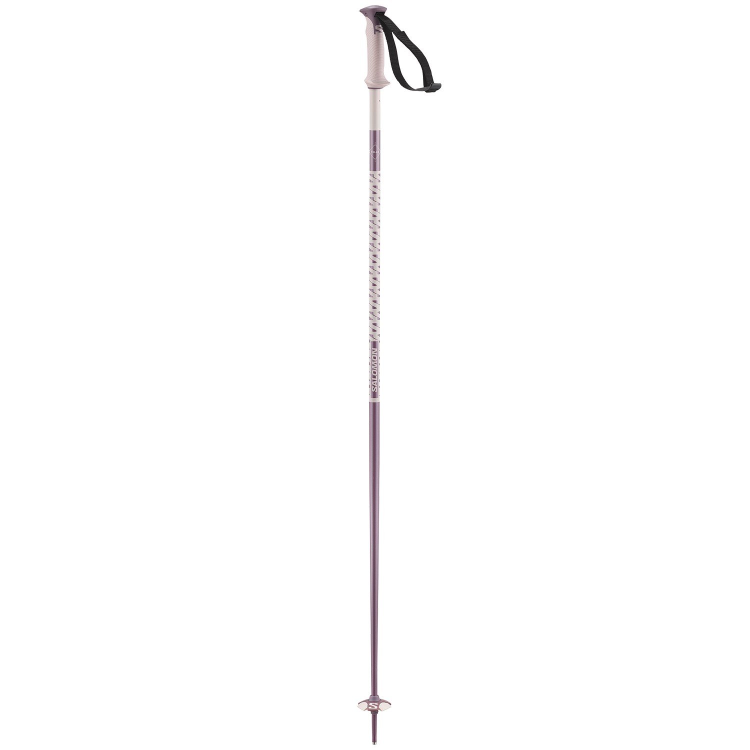 Salomon Polar Ski Poles 2026 | evo Canada