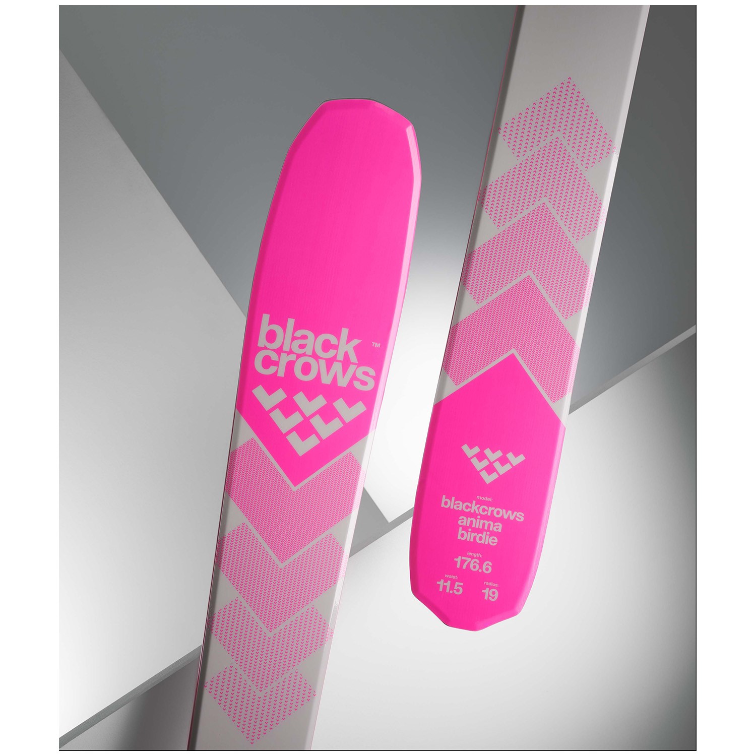 Black Crows Anima Birdie Skis - Women's 2025 | evo