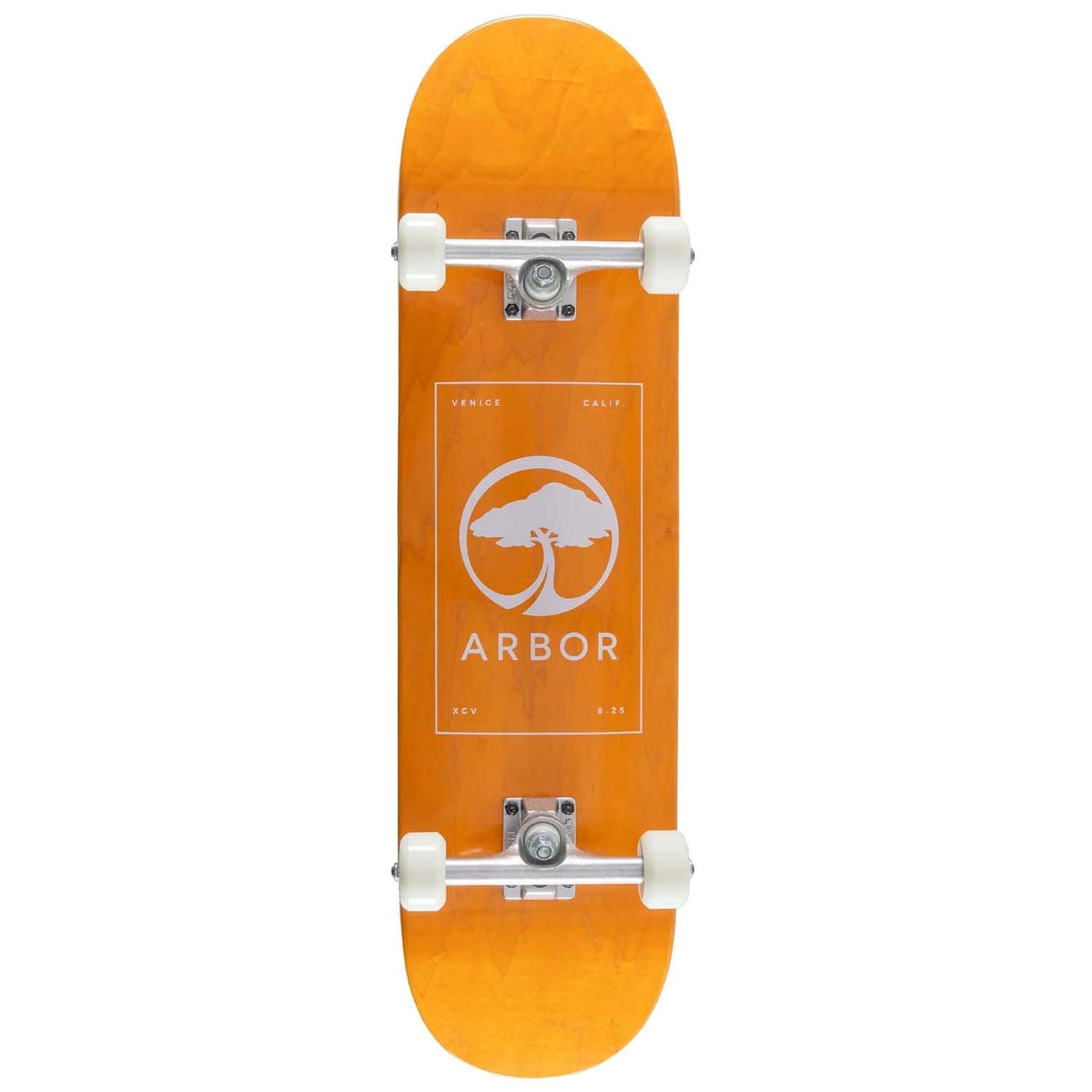 arbor-street-8-25-skateboard-