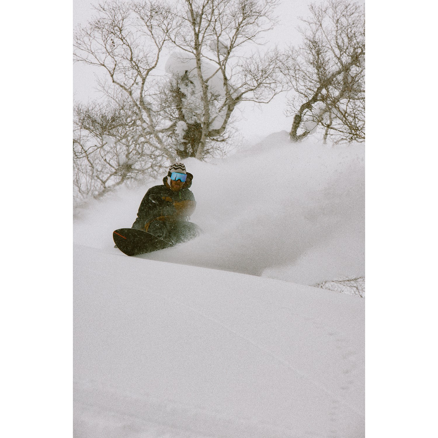 Season Forma Snowboard 2026 | evo