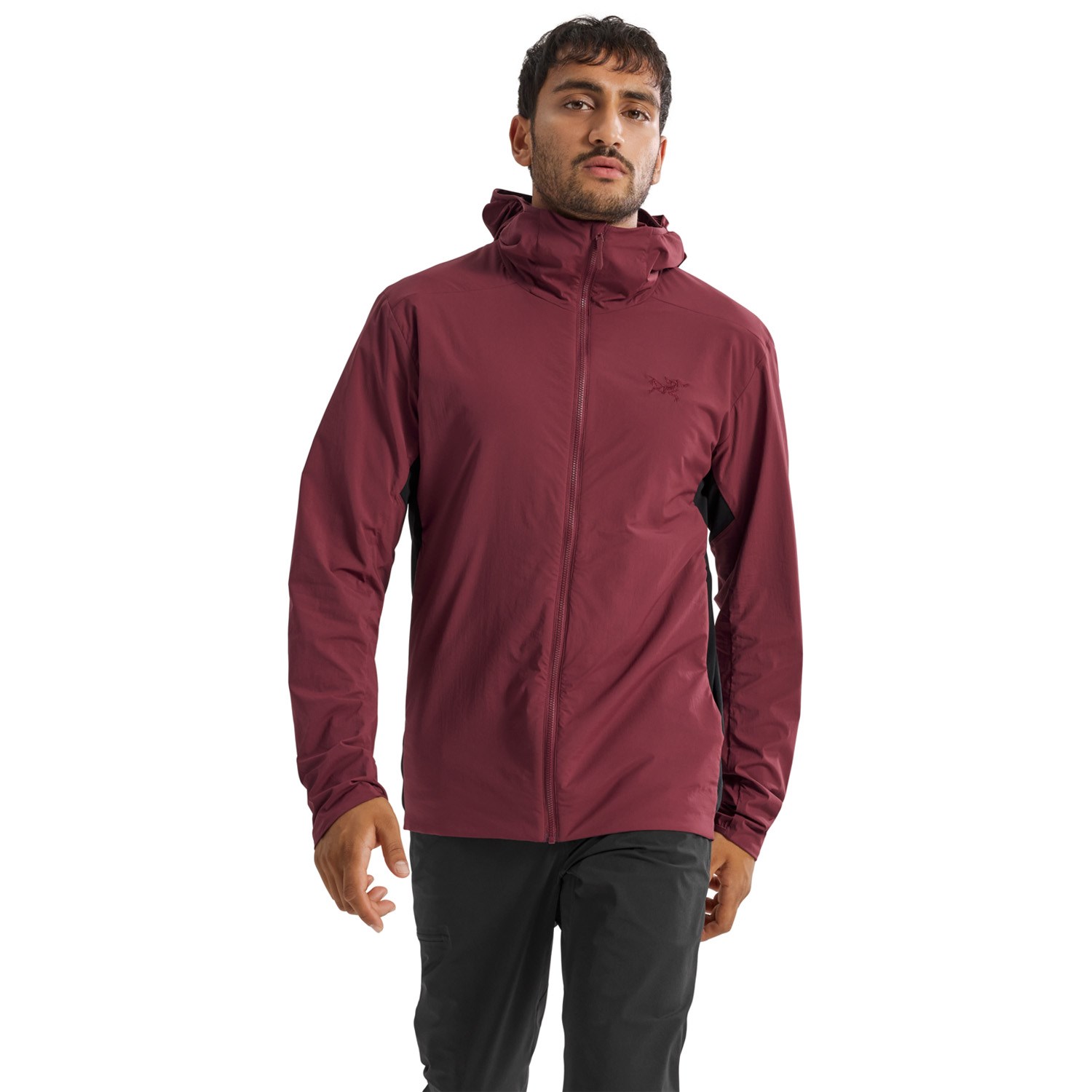 Arc'teryx Atom SL Hoodie - Men's | evo