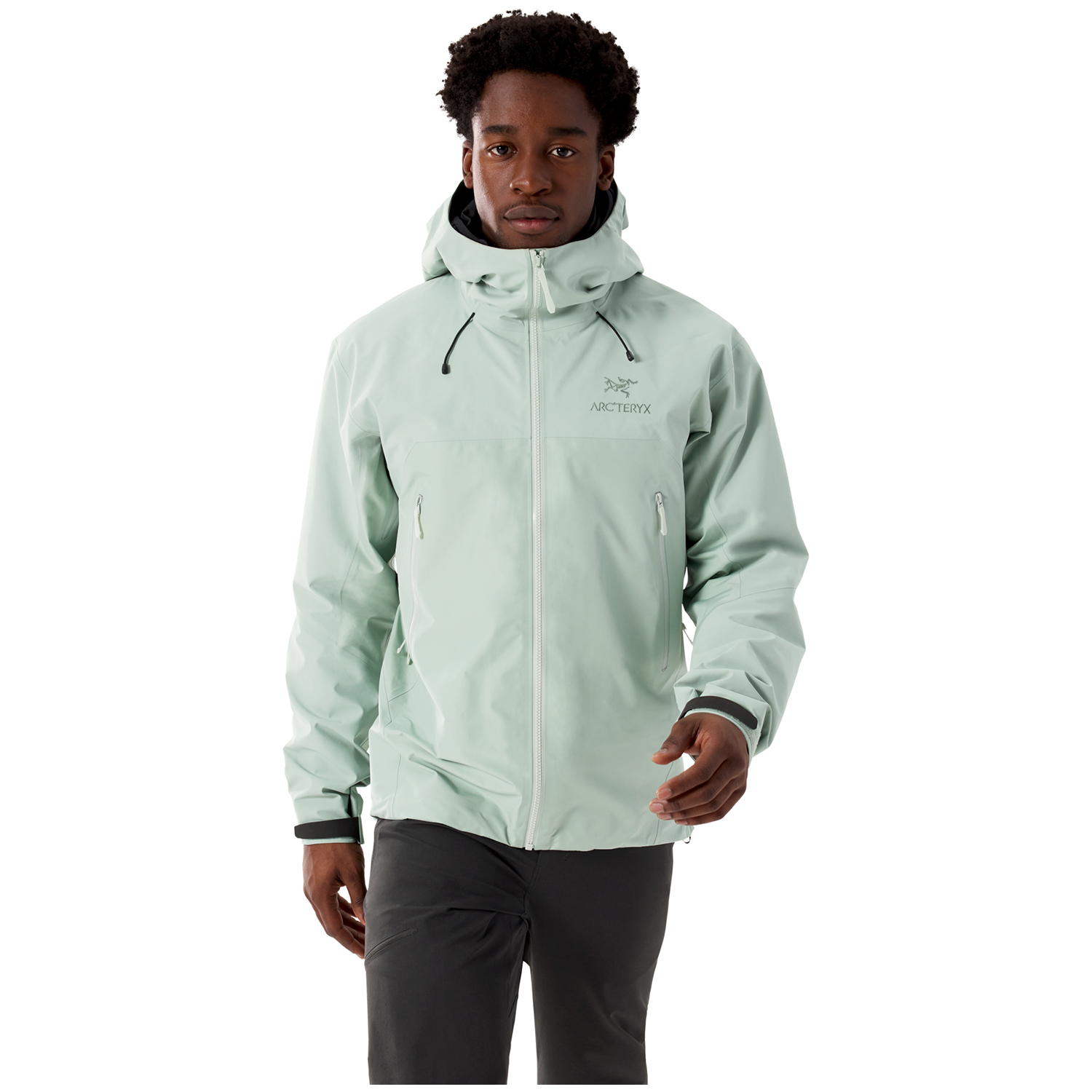 Arc'teryx Beta AR - StormHood Jacket - Men's | evo Canada