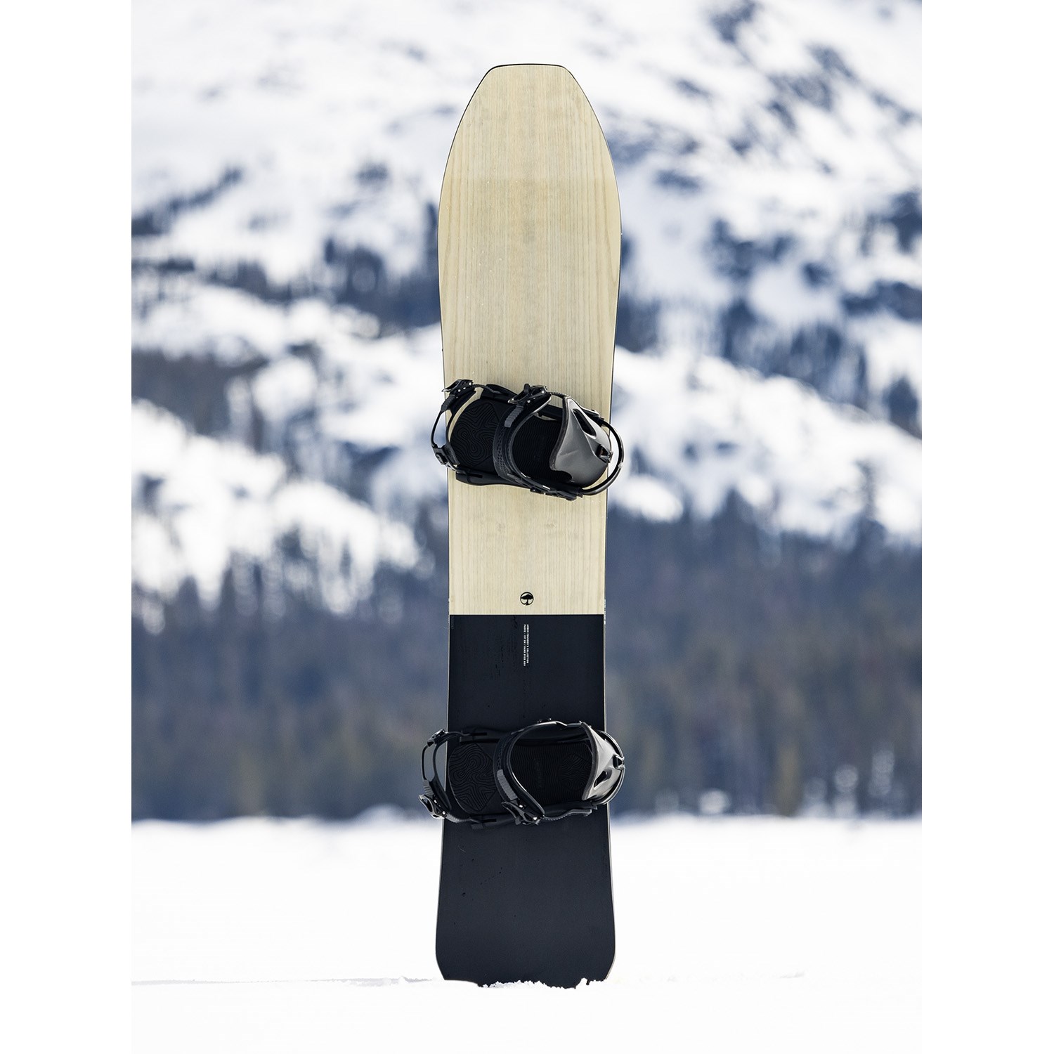 arbor-padre-snowboard-2026-.jpg