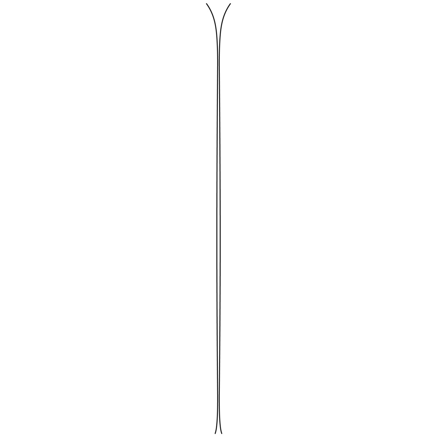 Black Crows Octo Skis 2026 | evo