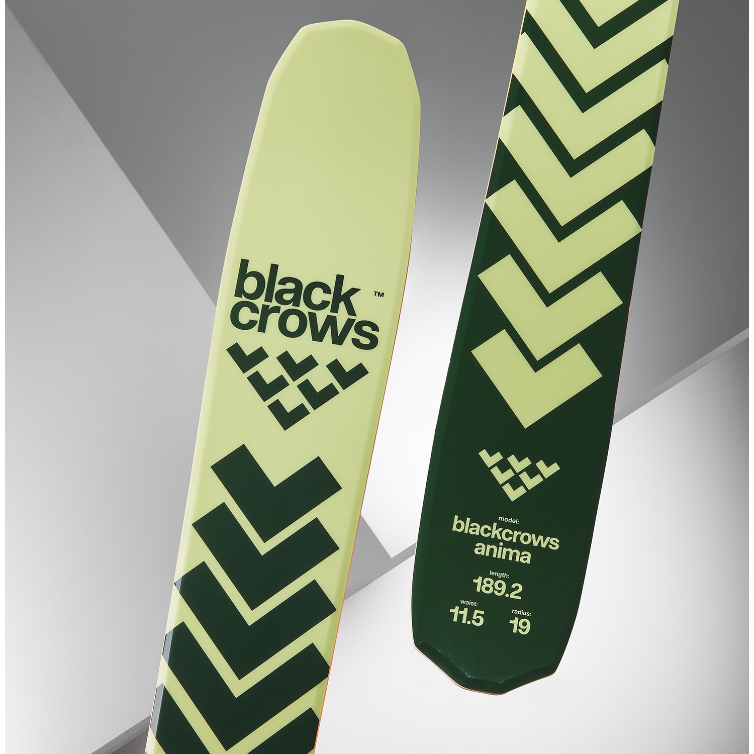black-crows-anima-skis-2026-.jpg