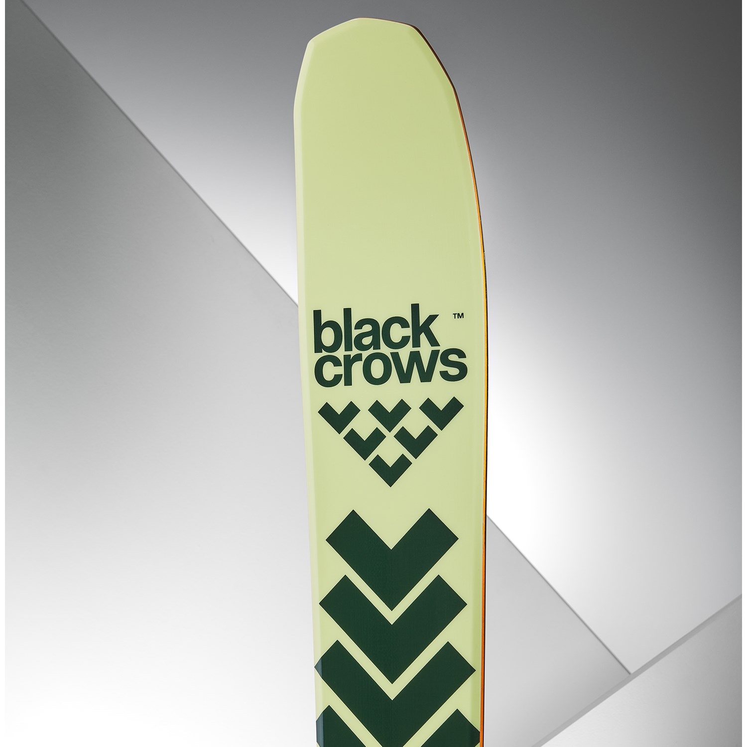 Black Crows Anima Skis 2026 | evo
