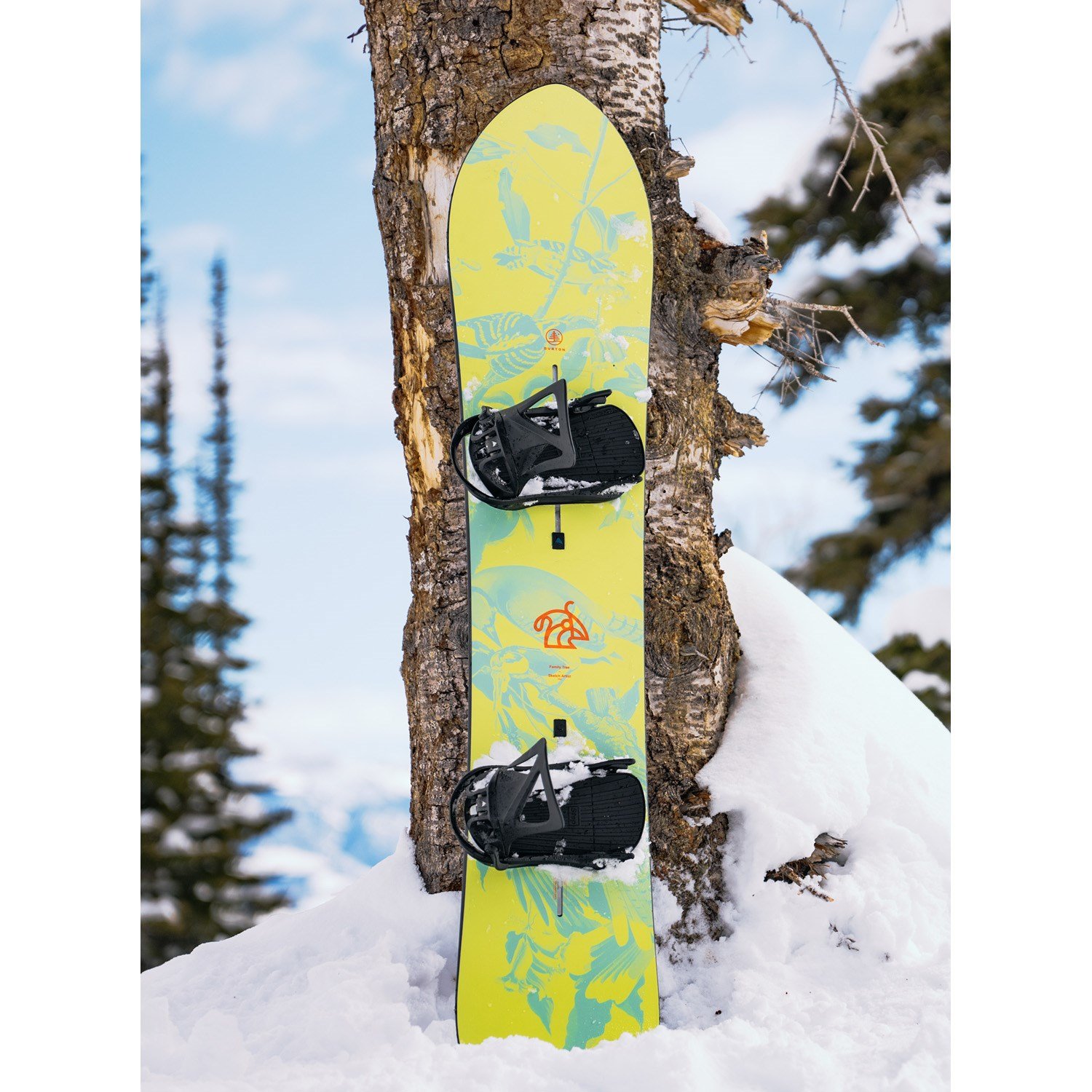 Burton Family Tree Sketch Artist Snowboard 2026 | evo