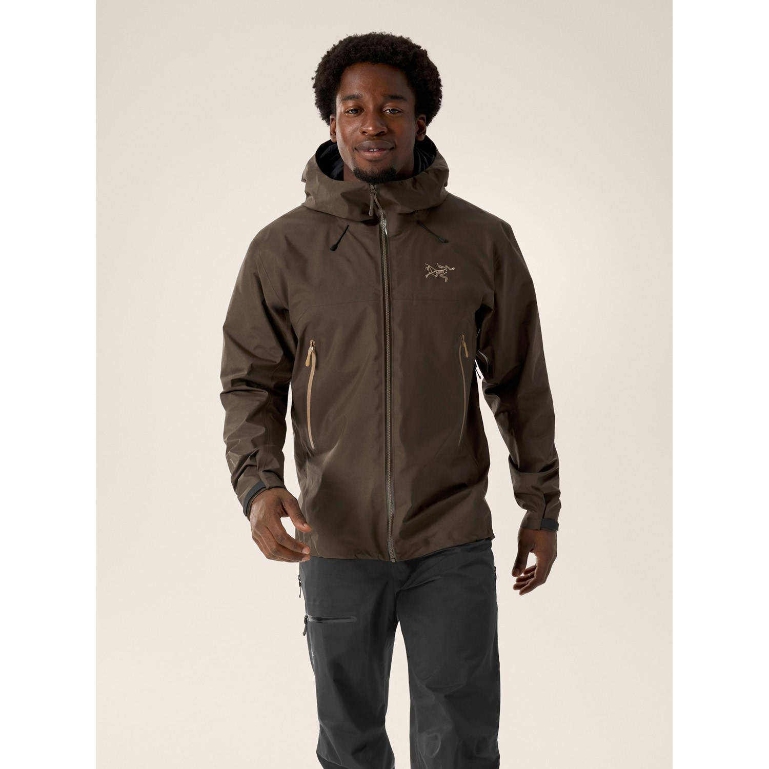 Arc'teryx Beta SL Jacket - Men's | evo