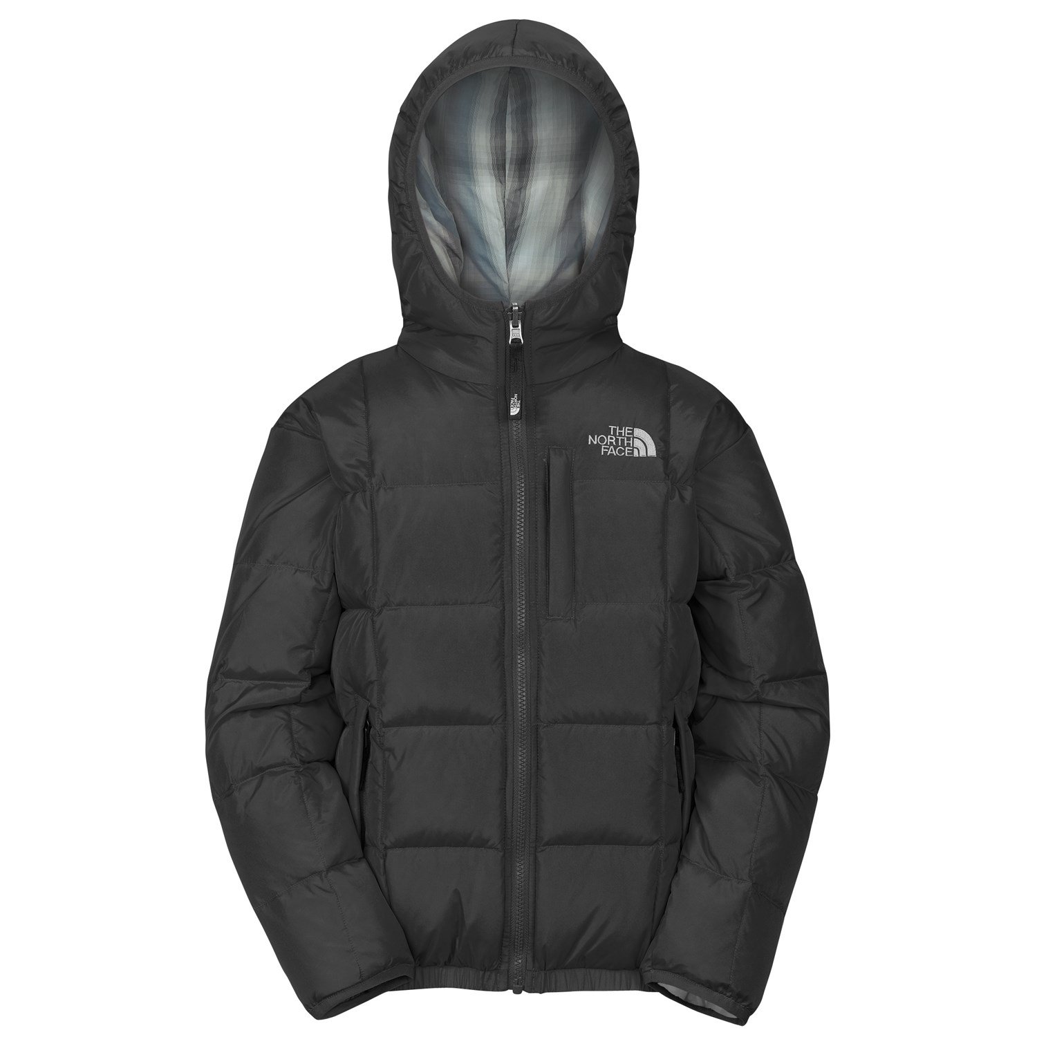 North face moondoggy store down jacket