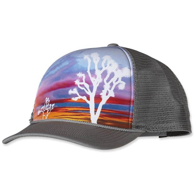 Patagonia interstate sales hat