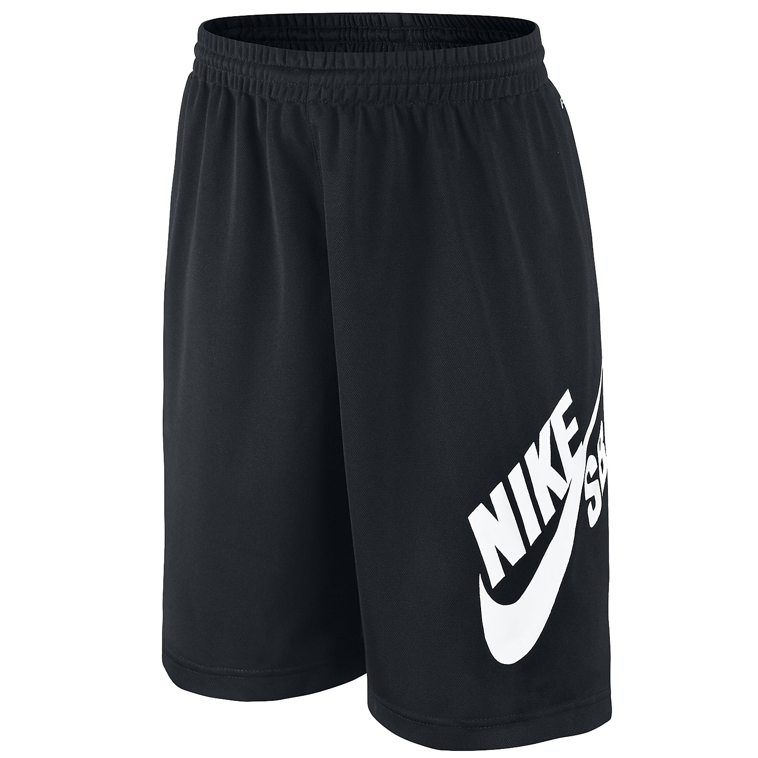Nike SB Dri-Fit Mesh Logo Shorts - Big 
