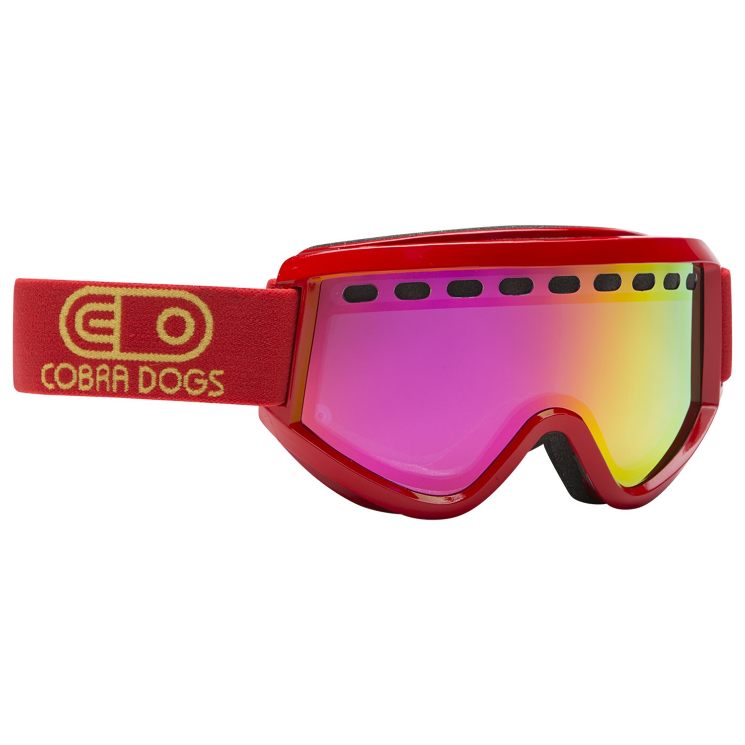 Airblaster Cobra Dogs Goggles evo