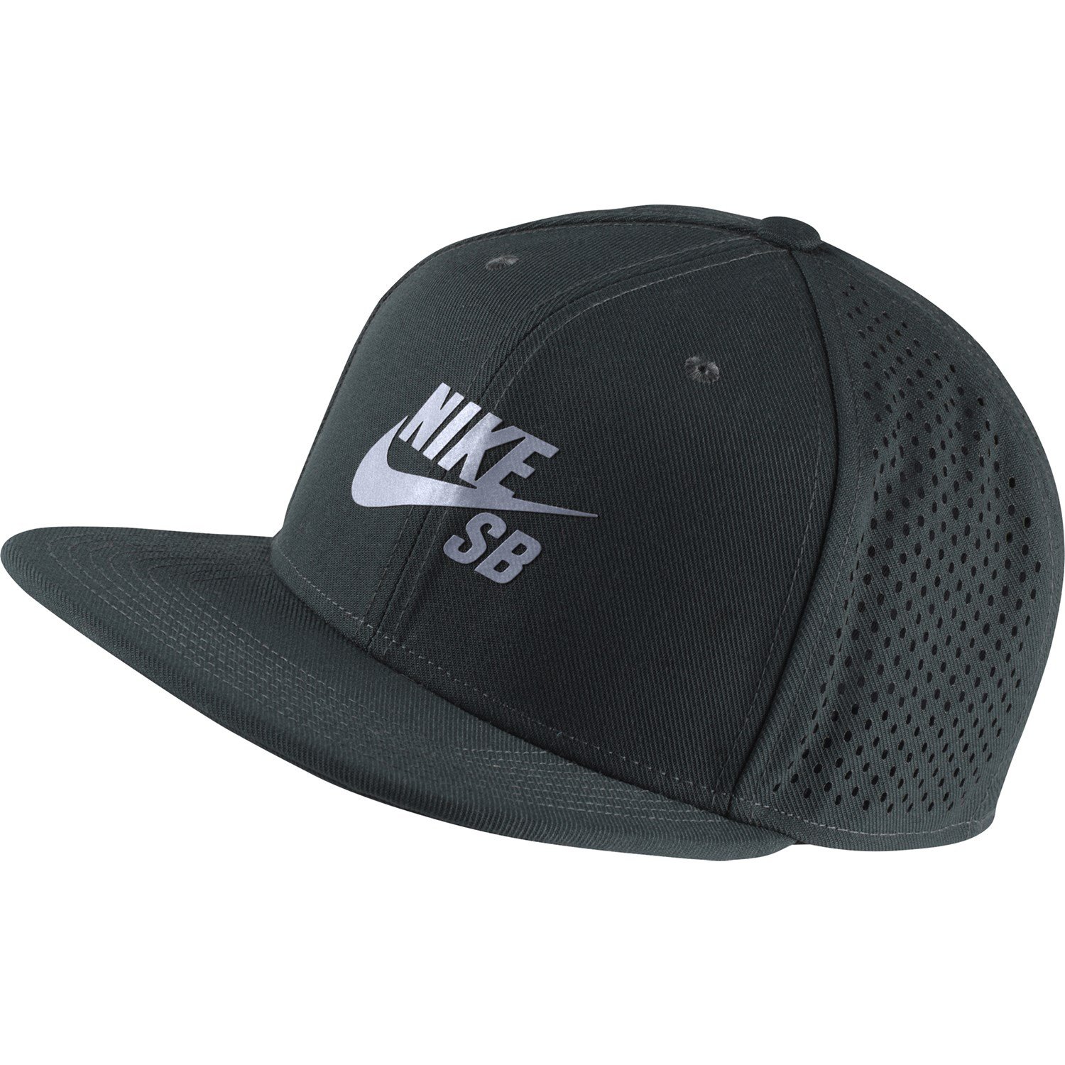 Nike Sb Skate Hat in Black for Men