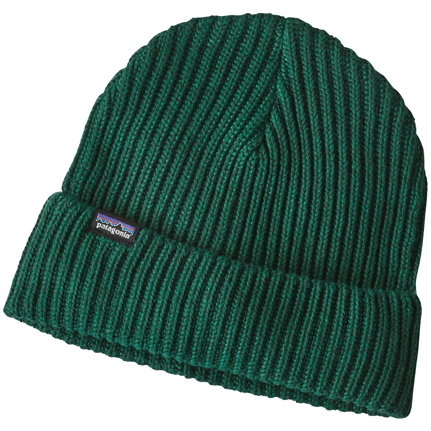 patagonia skull cap
